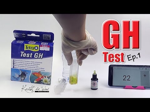 Watch Video on YouTube