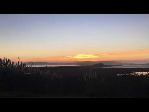 download lagu mp3 mp4 Bodega Bay Fog Horn Sound, download mp3 Bodega Bay Fog Horn Sound free downloadn, video klip Bodega Bay Fog Horn Sound