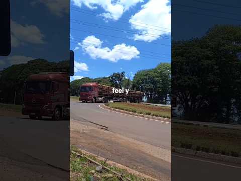 CAMINHÃO COM ÁRVORES DE PINUS SAINDO DE CANTAGALO PR