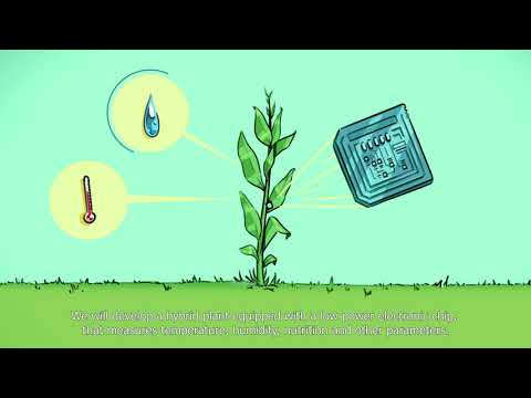 Plantenna - 4TU Research programme