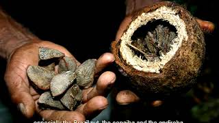 Vídeo: Unidades de Conservação do Estado do Amapá - Aliando Conservação ao Desenvolvimento