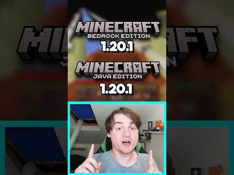 An Unexpected New Minecraft Update!