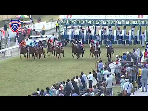 RM26 R7 - Mambo Rock