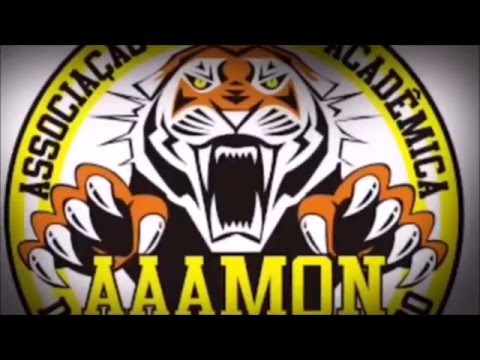 CHAMADA INTERMEDSUL 2016 AAAMON