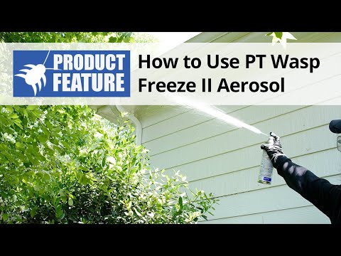  PT Wasp Freeze II Wasp & Hornet Killer Video 