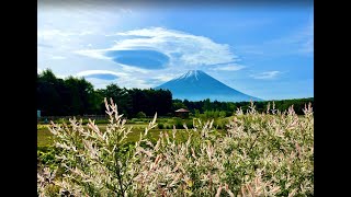 Fuji Motosuko Resort