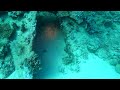 Egypt 2025 Carnatic wreck dive