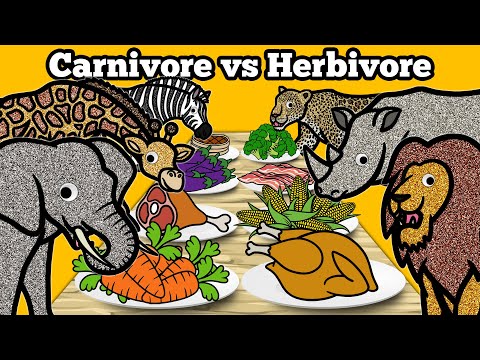 Carnivore vs Herbivore Safari Animals | Let's Draw & Color Wild Animals and Learn Fun Animal Facts!