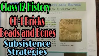 Bricks, Beads & Bones || Class12 History || CH1 Part2 Subsistence Strategies || An aspirant!!