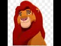 Simba Endless Night