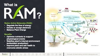RAM 101 with Redox CEO Darin Moon
