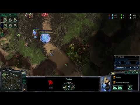 AlphaStar insane probe micro