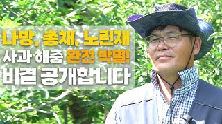 나방, 총채, 진딧물 완전 박멸! 사과 해충 가장 빠르고 쉽게 방제하는 법