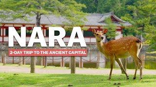 Essentials of NARA | 2-Day Trip