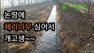 평야지 논땅에 배수작업  하고 있어요