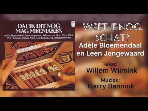 Weet je nog schat cover