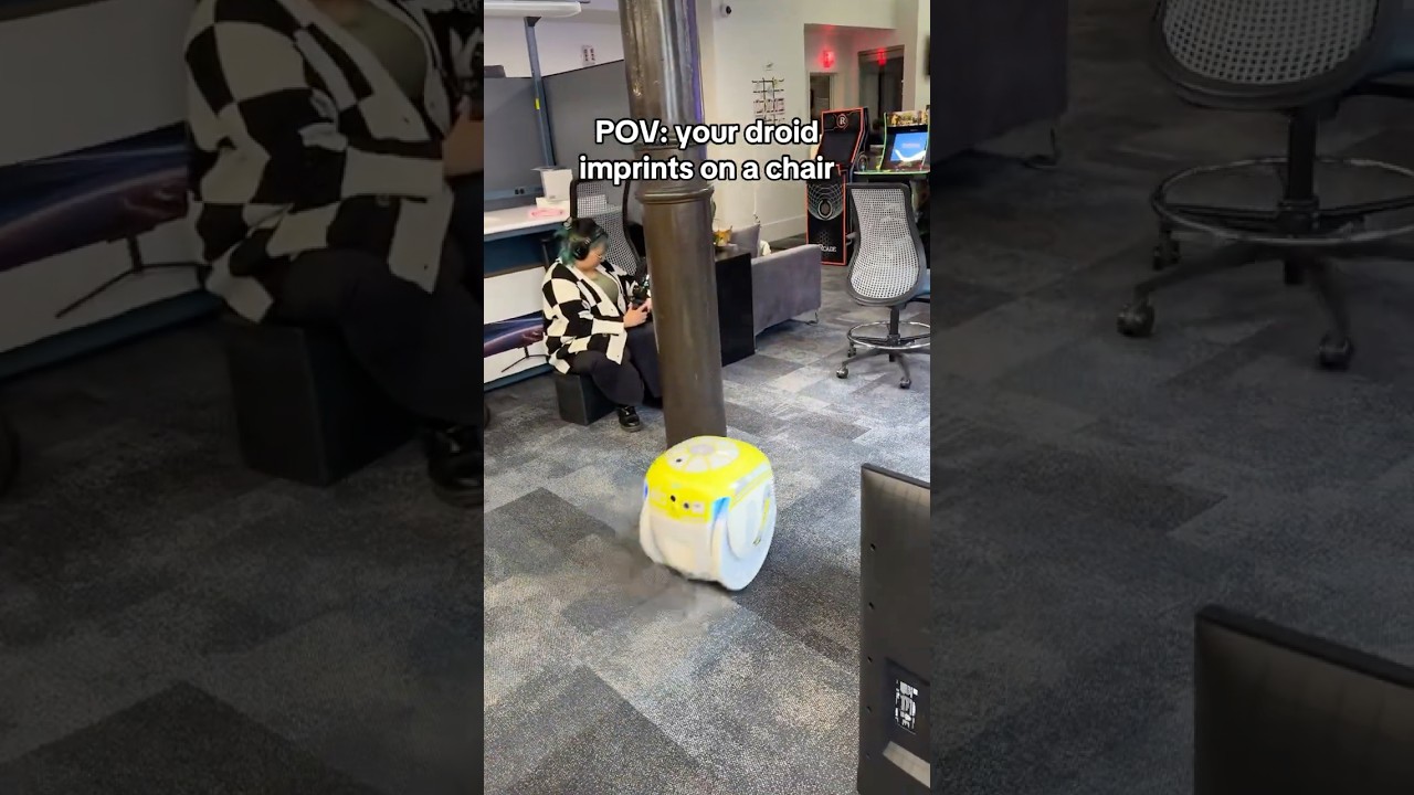 When your robot imprints on the wrong person