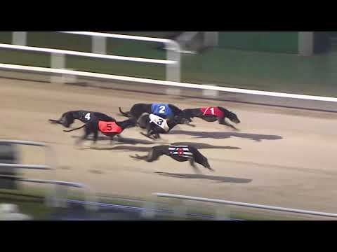 2018 ASTUTE ELECTRONICS GOLD CUP - HEAT 1 - T6 KING KID