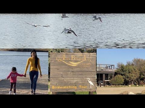 La Foce Sardinia | bird watching | new kayak Sardinia | Valledoria | beauty of Sardegna |