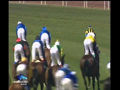 Dubai Sheema Classic 2001 - STAY GOLD