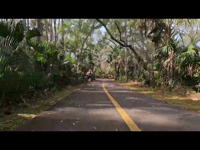 Judge.me YouTube video placeholder