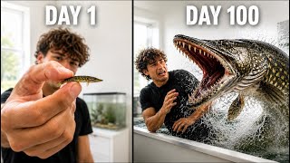 I Raised A Northern Pike (100 Day Evolution)