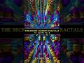The Secret Journey Fractals 💫 #vjloops #shorts #psytrance