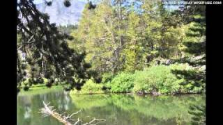 Bright Eyes &quot;First Day of My Life&quot; COVER