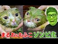 まるおともふこがゾンビ化してしまいました…