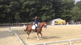 Video af Kosmo van Esseborg