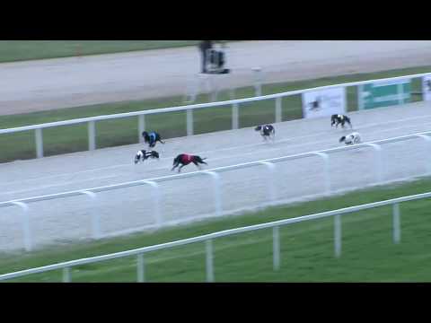 2017.05.05. 2. futam - Agár