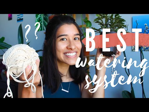 I STOPPED WATERING MY PLANTS 🤯 | DIY Self Watering Systems Part 2!