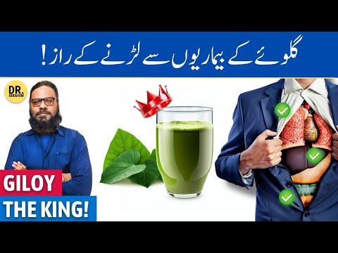 Giloy: Jism Ki Har Bemari Se Nijat! Guduchi/Giloe/Giloy Benefits | Dr. Ibrahim