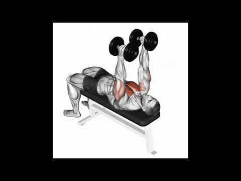 Supino reto com halteres pegada neutra