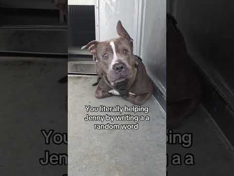 urgently needed to save jenny's life please link in bio #LosAngeles#Chicago#Texas#Florida#california