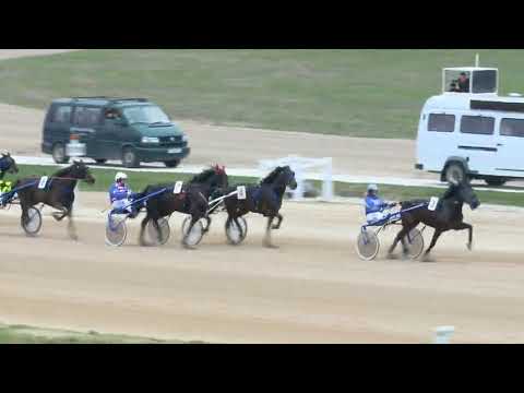 2018.04.07. Ügető 2 futam