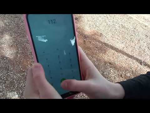 Los recursos sanitarios