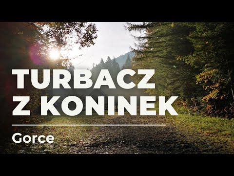 Na Turbacz w Gorcach z Koninek - łatwa wycieczka niedaleko Krakowa