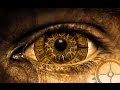 Documentario National Geographic L Illusione Del Tempo