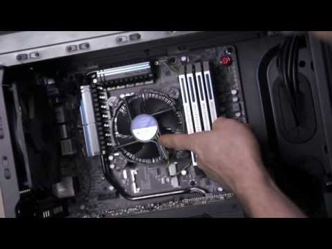 Plaukų džiovintuvas Corsair „Hydro X“ serijos XF kietos linijos jungtis, tiesus G1/4 į 14 mm išorinį kietą vamzdį - 4 vnt. pakuotėje, auksinis video