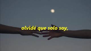 Amor de anticuario / Sofía ellar