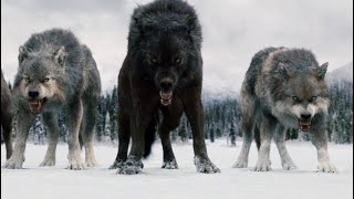 Breaking Benjamin-Feed The Wolf (Music Video)