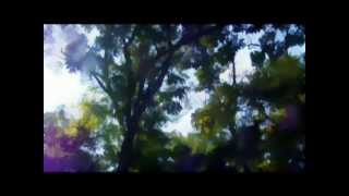 Saint Etienne - Spring