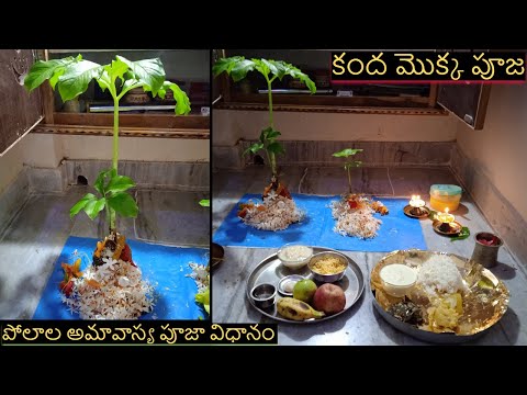 పోలాల అమావాస్య పూజ విధానం  ||  Polala Amavasya vrata katha || కంద మొక్క  పూజ