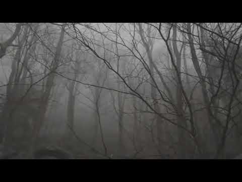 Sash feat. Tina Cousins - Mysterious Times (EuroDacer Remix)