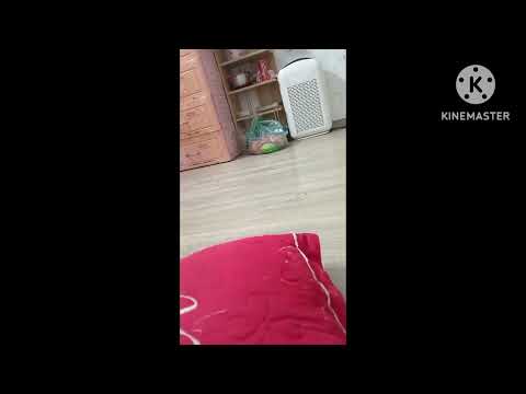 Adapter charger small world remake