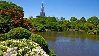 preview picture of video 'Shinjuku Gyoen Park Tokyo'