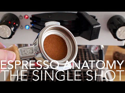 ESPRESSO ANATOMY - The Single Shot