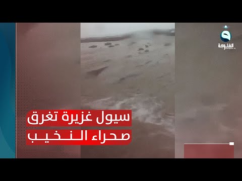 شاهد بالفيديو.. سيول غزيرة تغرق صحراء النخيب في الأنبار