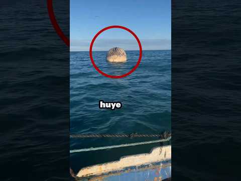 If you see this, run away 😧